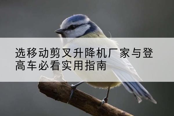 天津电动升降机厂家-选移动剪叉升降机厂家与登高车必看实用指南
