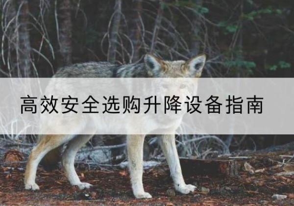 天津升降货梯厂家推荐-*安全选购升降设备指南